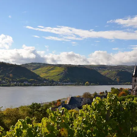 イム シュルハウス 4*