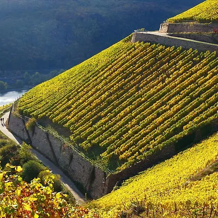 イム シュルハウス