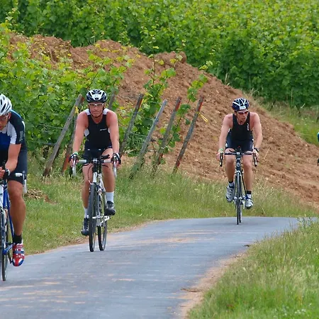 イム シュルハウス ホテル 4*