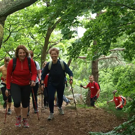 Hotel Im Schulhaus 4*