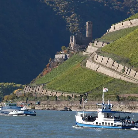 ホテル イム シュルハウス ロルヒ・アム・ライン
