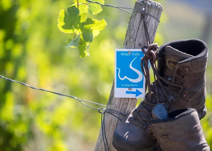 Im Schulhaus 4* Lorch am Rhein