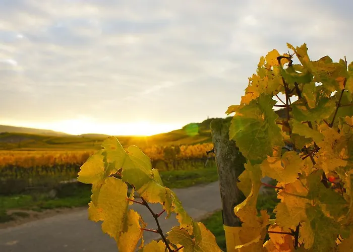 Im Schulhaus Szálloda